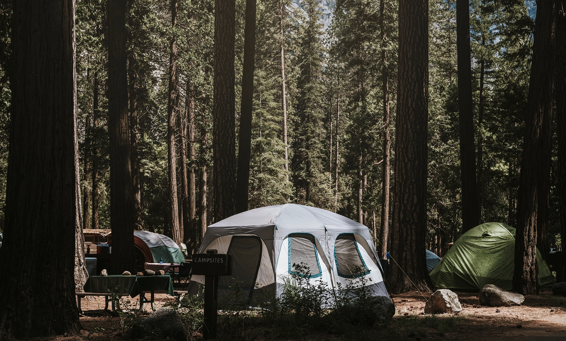 amenity, CA, Eureka, RV Parks in Eureka, Things to Do in Eureka, tentcampsitewoods
