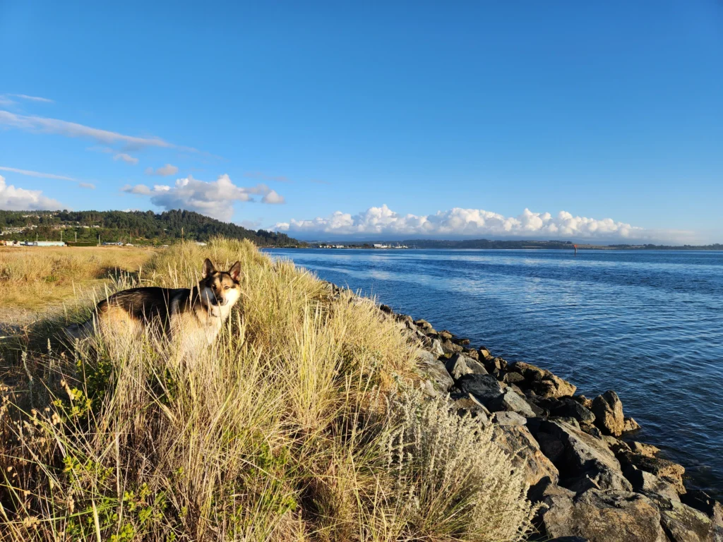 RV Parks in Eureka, scaled, California, Rent cabins in California, rv, cabin