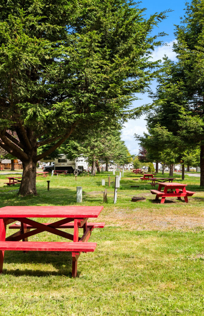 Eureka, RV Parks in Eureka, RedwoodCoastRVPark, Things to Do in Eureka, California, amenities