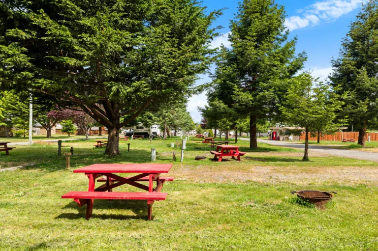 Things to Do in Eureka, rent, RedwoodCoastRVPark, amenity, RV Parks in Eureka, rv