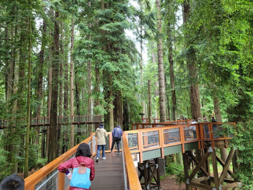 amenity, CA, cabin, RV Parks in Eureka, Things to Do in Eureka, Sequoia Park Zoo